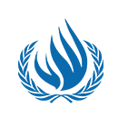 UN Special Rapporteur (on Human Rights in Iran)  