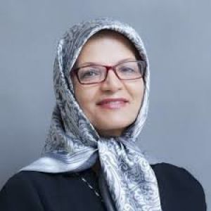 احضاریک عضو شورای شهرتهران برای انتشار توییتی در مورد حجاب اجباری